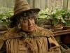 Pomona Sprout
